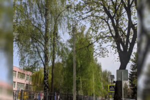Улицу Октябрьскую в Брянске поделили между дорожниками. «По оврагу»