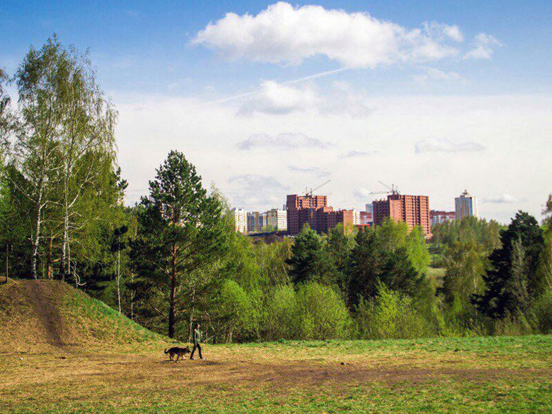 «Спорт» в Брянске станет законодательно разрешённым видом застройки… лесопарков и городских лесов