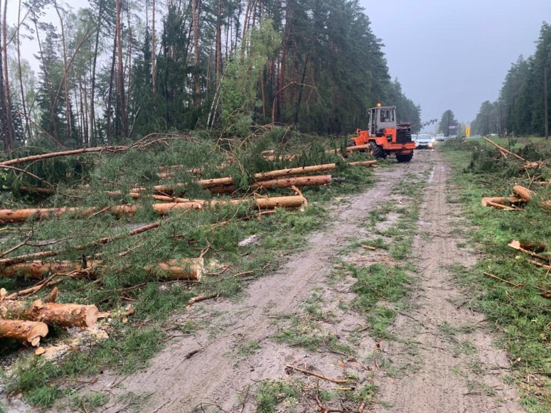 В Брянской области расчищают дороги после урагана, без света пока остаются 134 населённых пункта.