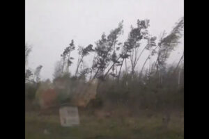 Момент с ураганным лесоповалом в Жуковке попал на видео
