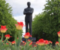Брянск украсили более 75 тысяч тюльпанов. Им на смену готовятся 170 тысяч «летников»
