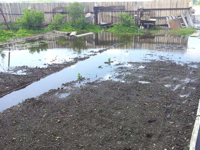 Паводок-2022: за сутки в Брянской области всплыли еще полсотни огородов