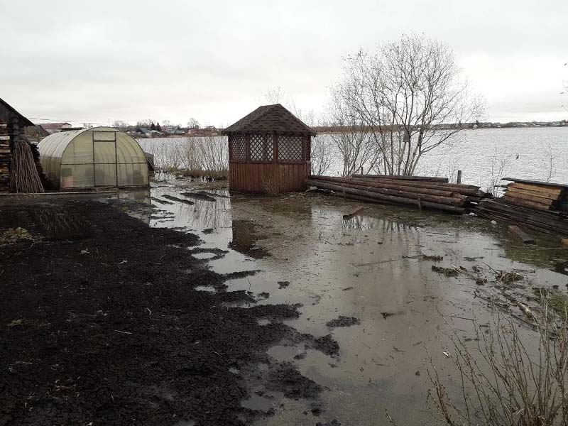 В Брянской области в зоне затопления остаются полсотни дач и огородов