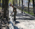 В Брянске «демонтировали» парк «Юность». И наметили новые дорожки, сцену и фонтан
