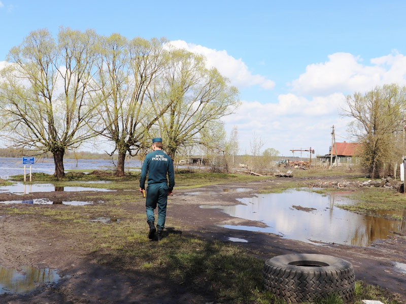 Паводок-2022: в Брянске число затопленных огородов вновь выросло — с трёх до десяти