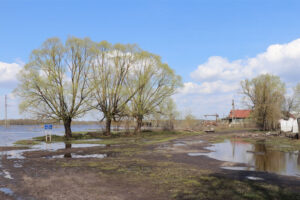 Паводок-2022: в Брянской области остаются затопленными десять жилых домов и больше двухсот огородов