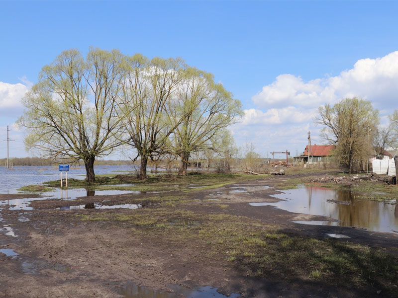 Паводок-2022: в Брянской области остаются затопленными десять жилых домов и больше двухсот огородов