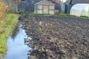 Паводок-2022: в Брянской области все ещё подтоплены полтора десятка огородов