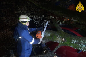 Трое пострадавших, в том числе ребёнок, 115 деревьев, 28 населенных пунктов без света — в брянском МЧС обновили данные по урону от урагана