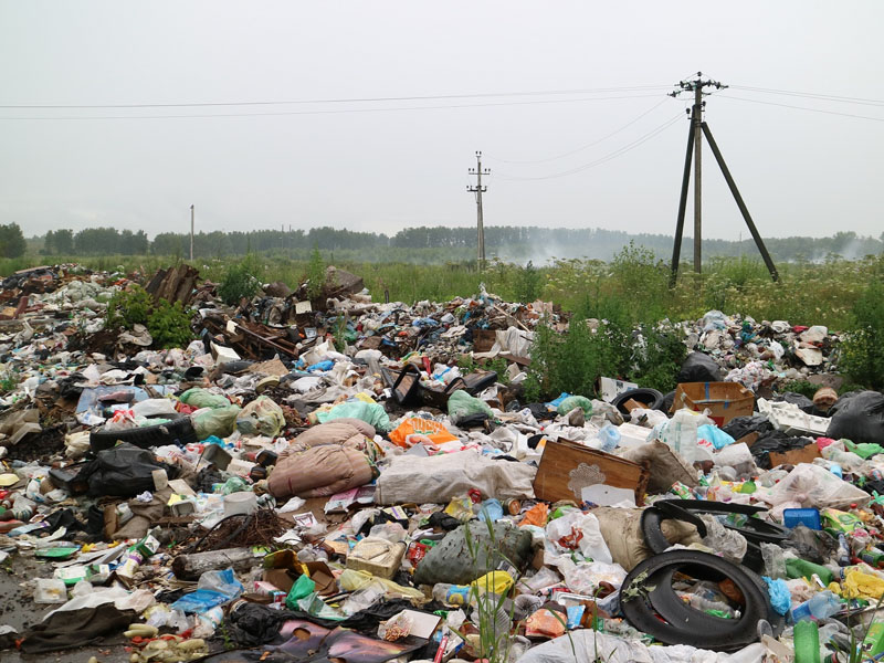 В Брянской области в рамках федеральной «Генеральной уборки» будет ликвидировано девять свалок в восьми районах