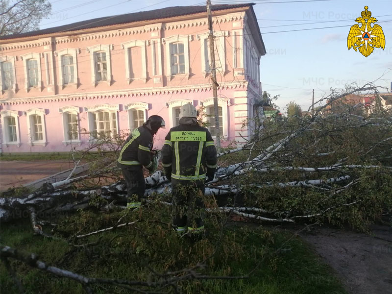 В Брянской области из-за урагана без света остались 14 населенных пунктов в 4-х муниципалитетах — МЧС