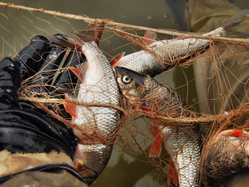 В Унечский райсуд направлено дело о ловле рыбы сетями