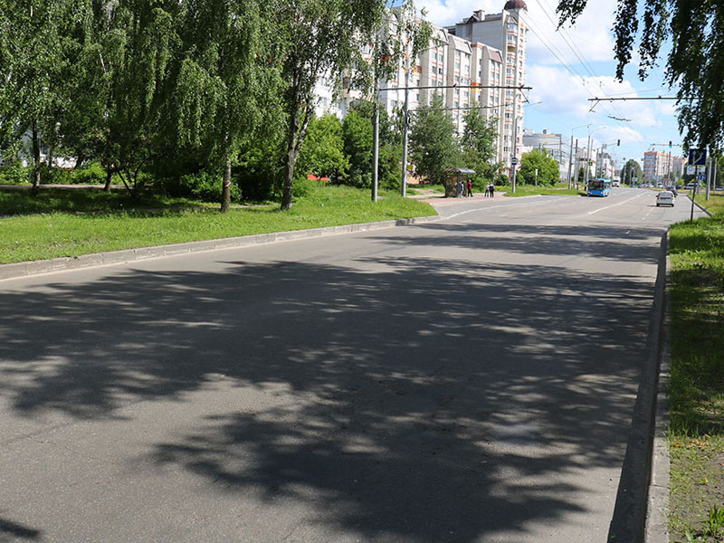 Власти Брянска пообещали максимально сохранить березы при расширении улицы Крахмалёва