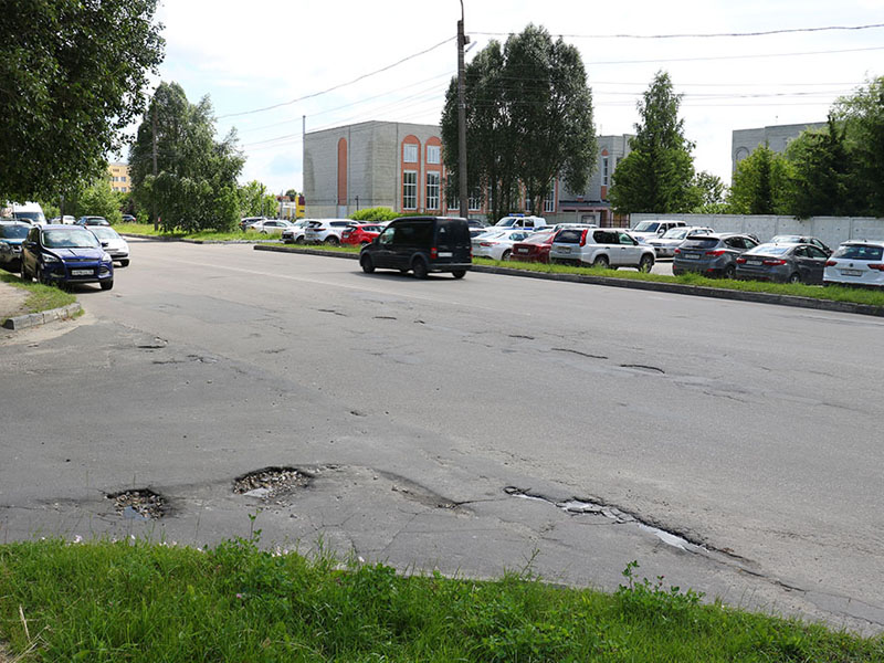 Власти Брянска пообещали максимально сохранить берёзы при расширении улицы Крахмалёва