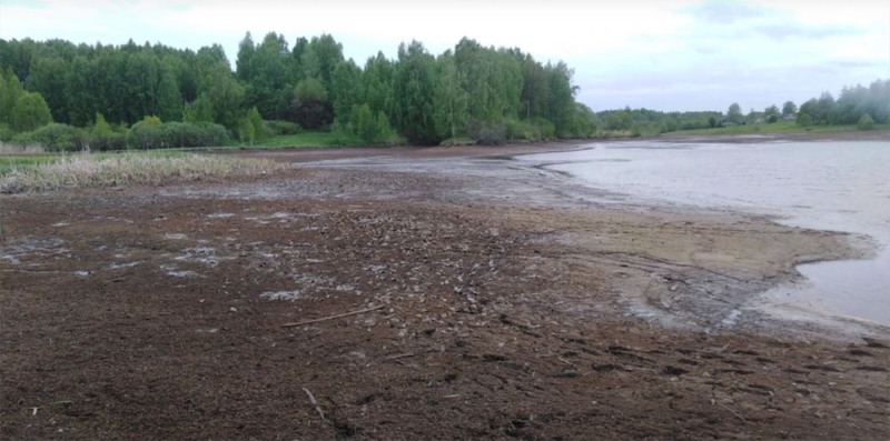 За два месяца в окрестностях Брянска одно за другим погибли четыре озера