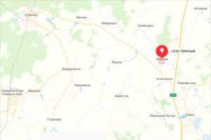 Над брянским селом Чемлыж ночью сбит украинский беспилотник – СМИ