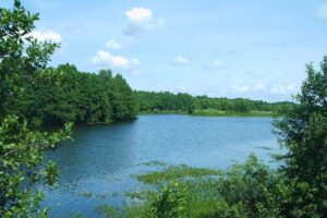 В озере в пригороде Брянска утонул 49-летний мужчина