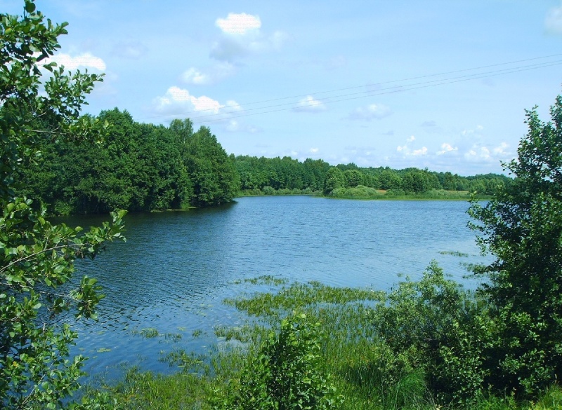 В озере в пригороде Брянска утонул 49-летний мужчина