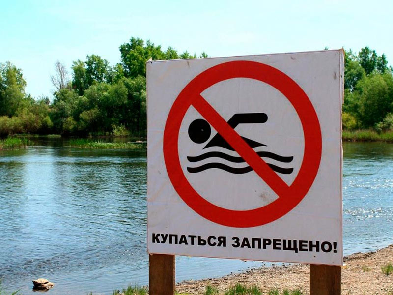 Жителям Брянска запретили купаться на всех семи официальных пляжах города