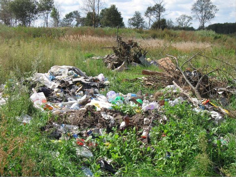 В Брянской области с начала года из 14,8 га свалок на сельхозземлях расчистили лишь десятую часть