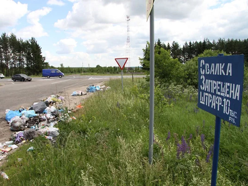 В России вводят штрафы за выброшенный из машины мусор, вплоть до конфискации авто