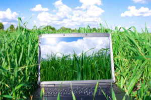 В Брянской области вор спрятал украденный ноутбук в поле, где его раздавила сельхозтехника