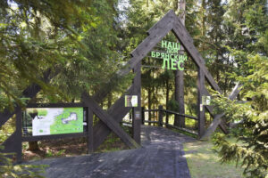 Заповедник «Брянский лес» в марте открывает сезон бесплатных экскурсий для школьников