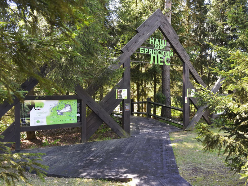 Заповедник «Брянский лес» в марте открывает сезон бесплатных экскурсий для школьников