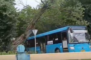 Штормовой ветер лишил Брянск одного синего автобуса