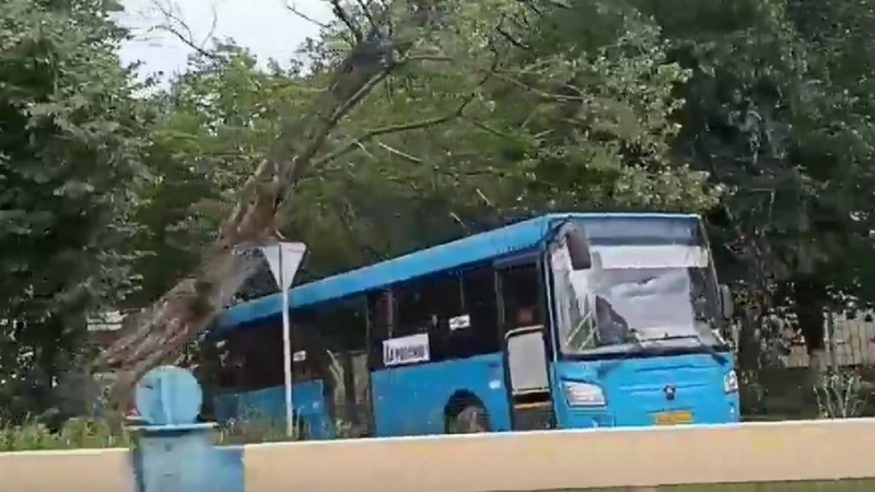 Штормовой ветер лишил Брянск одного синего автобуса