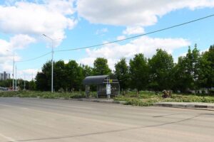 На улице Крахмалёва в Брянске для расширения дороги выпилили больше десятка деревьев