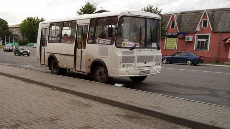 Новозыбковский перевозчик сокращает рейсы городских автобусов