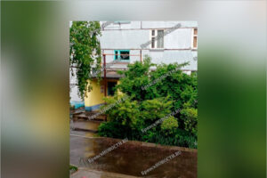Жительница Новозыбкова погибла, упав на ступенях в подъезде своего дома