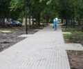 В Брянске в парке «Юность» начали монтировать огромную спортивно-игровую площадку