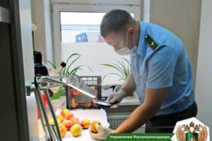 В Брянской области не пустили в Москву 60 тонн турецких фруктов
