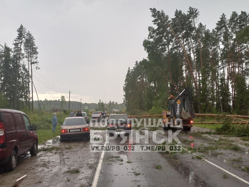 В Брянской области ураганный ветер «засыпал» деревьями автодорогу под Жуковкой