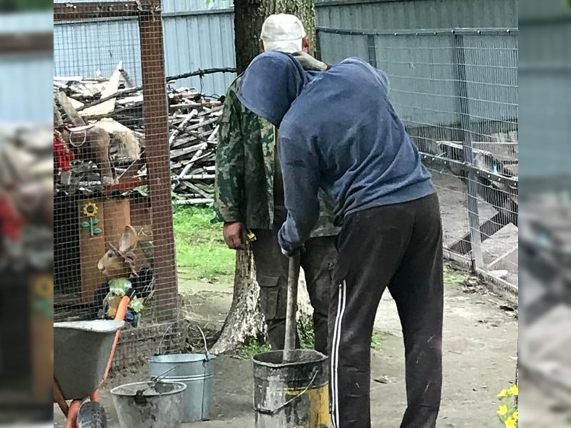В зоопарке Брянска появятся «саблезубые» олени