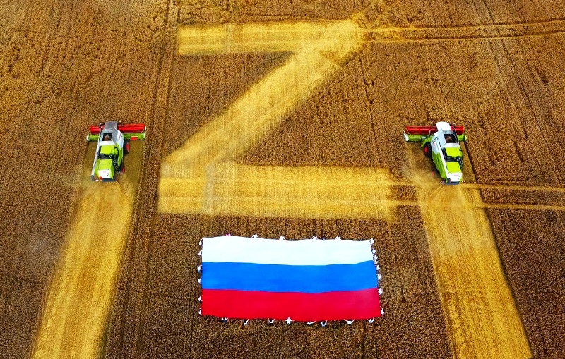 День государственного флага в Брянске: флешмоб в пшеничном поле, концерт и автопробег