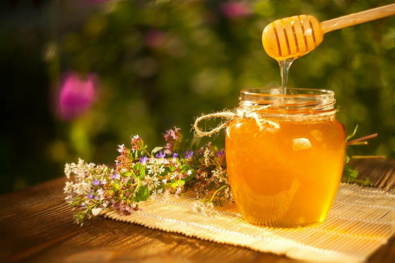 Медовый Спас: санитарные врачи рассказали о полезных свойствах мёда