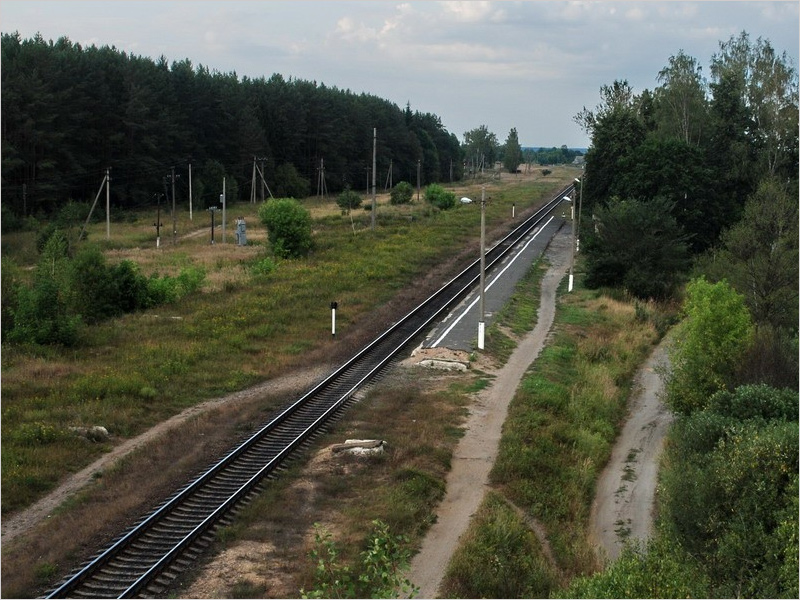 В Брянской области на четыре ночи будет перекрыт железнодорожный переезд в Олсуфьево