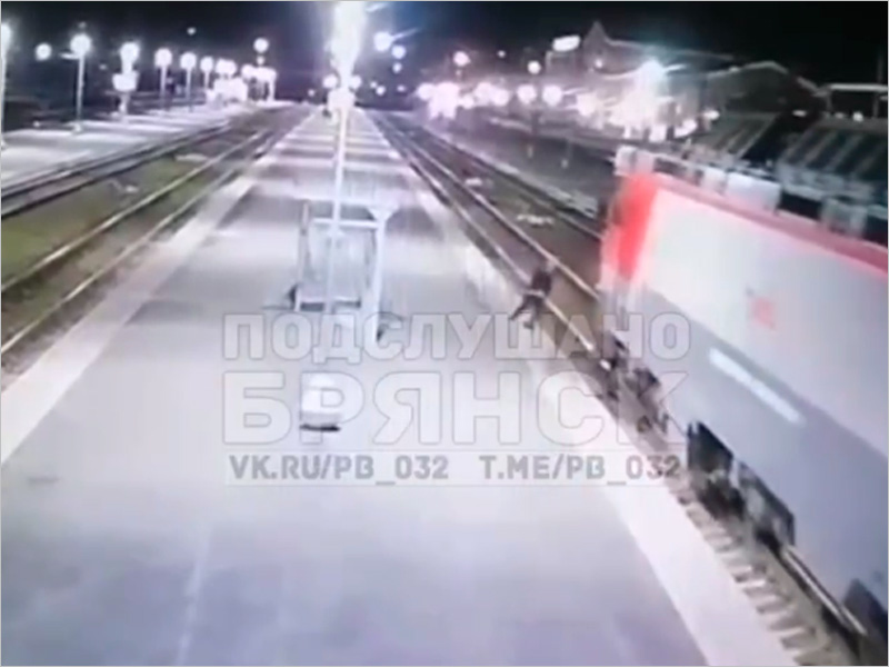 На вокзале Брянск-Орловский мужчина свалился с платформы под поезд