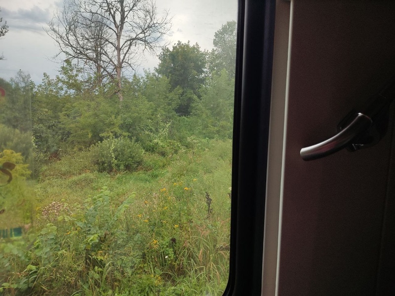 Проблемы с контактной сетью привели к вынужденной задержке поезда Москва-Брянск