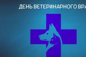 В России 31 августа отмечается свой собственный День ветеринара. Православный
