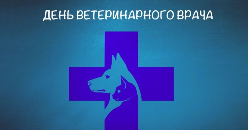 В России 31 августа отмечается свой собственный День ветеринара. Православный