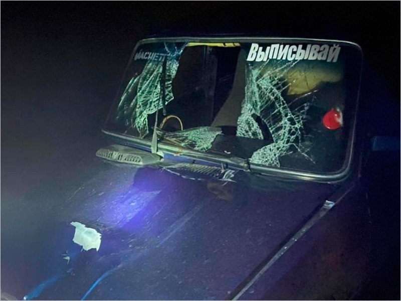 Смертельное ДТП на трассе «Украина»: пешеход попал под колёса «семёрки»
