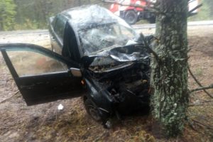 На местной дороге под Карачевом произошло смертельное ДТП
