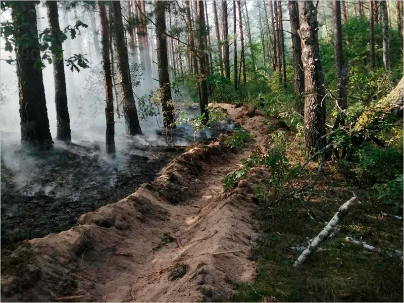 Четыре пожара потушили за два дня в Новозыбкове и его окрестностях