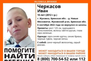 Поиски десятилетнего Вани Черкасова в Жуковке продолжались всю ночь. Ребёнок не найден