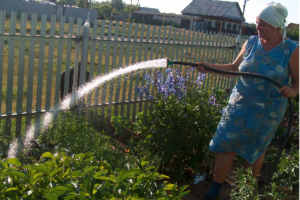 Жители Гордеевки пожаловались на взлёт тарифов на воду. Оказалось – всё правильно, их просто не предупредили