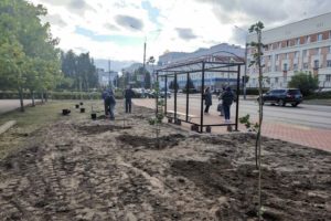 На улице Крахмалёва в Брянске высадили «компенсационные» клёны
